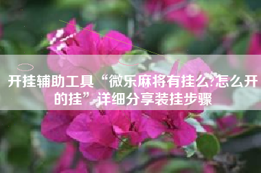 开挂辅助工具“微乐麻将有挂么?怎么开的挂”详细分享装挂步骤