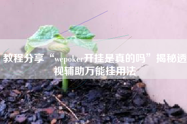 教程分享“wepoker开挂是真的吗”揭秘透视辅助万能挂用法