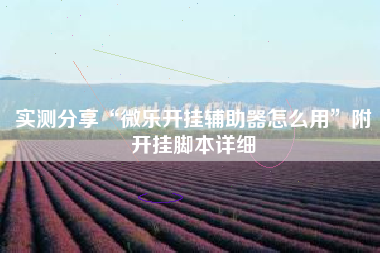 实测分享“微乐开挂辅助器怎么用”附开挂脚本详细
