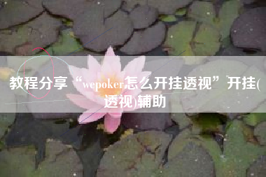 教程分享“wepoker怎么开挂透视”开挂(透视)辅助