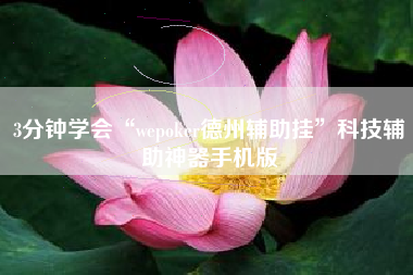 3分钟学会“wepoker德州辅助挂”科技辅助神器手机版