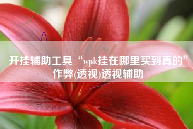 开挂辅助工具“wpk挂在哪里买到真的”作弊(透视)透视辅助