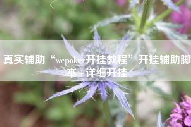 真实辅助“wepoker开挂教程”开挂辅助脚本+详细开挂