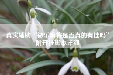 真实辅助“微乐麻将是否真的有挂吗”附开挂脚本详细