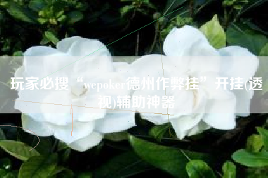 玩家必搜“wepoker德州作弊挂	”开挂(透视)辅助神器