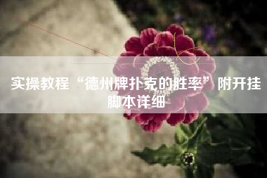 实操教程“德州牌扑克的胜率	”附开挂脚本详细