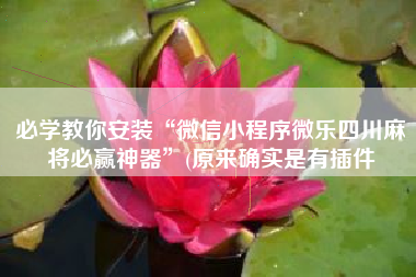 必学教你安装“微信小程序微乐四川麻将必赢神器”(原来确实是有插件