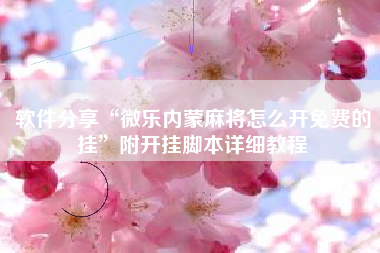 软件分享“微乐内蒙麻将怎么开免费的挂”附开挂脚本详细教程