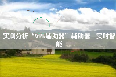 实测分析“WPK辅助器	”辅助器 - 实时智能