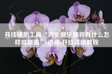 开挂辅助工具“河北微乐麻将有什么怎样就能赢”(透视)开挂详细教程