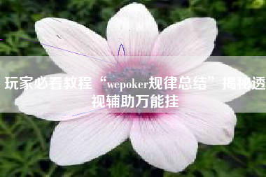 玩家必看教程“wepoker规律总结”揭秘透视辅助万能挂