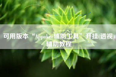 可用版本“Appoker辅助工具	”开挂(透视)辅助教程