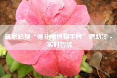 玩家必搜“德扑圈透视手牌”辅助器 - 实时智能