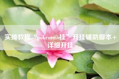 实操教程“pokemmo挂”开挂辅助脚本+详细开挂