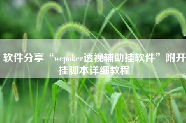 软件分享“wepoker透视辅助挂软件”附开挂脚本详细教程