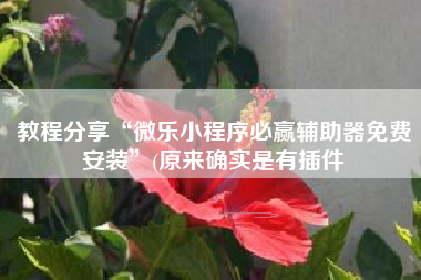 教程分享“微乐小程序必赢辅助器免费安装”(原来确实是有插件