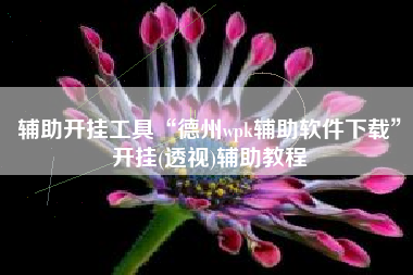 辅助开挂工具“德州wpk辅助软件下载	”开挂(透视)辅助教程