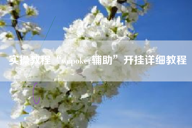 实操教程“wepoker辅助”开挂详细教程