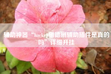 辅助神器“hacker猫德州辅助插件是真的吗”详细开挂