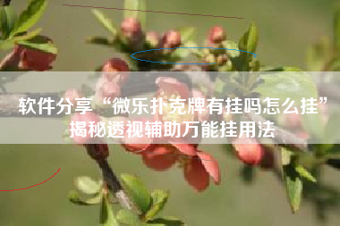 软件分享“微乐扑克牌有挂吗怎么挂	”揭秘透视辅助万能挂用法