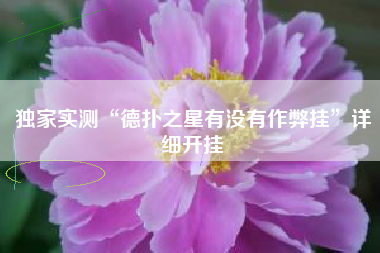 独家实测“德扑之星有没有作弊挂”详细开挂