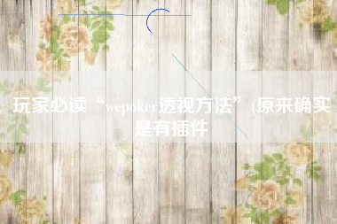 玩家必读“wepoker透视方法”(原来确实是有插件 玩家必读“wepoker透视方法”(原来确实是有插件