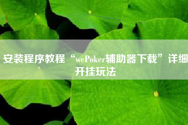 安装程序教程“wePoker辅助器下载”详细开挂玩法