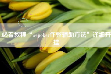 必看教程“wepoker作弊辅助方法”详细开挂