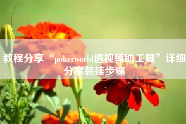 教程分享“pokerworld透视辅助工具”详细分享装挂步骤
