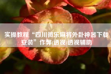 实操教程“四川微乐麻将外卦神器下载安装	”作弊(透视)透视辅助