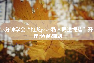 3分钟学会“红龙poker私人局透视挂	”开挂(透视)辅助