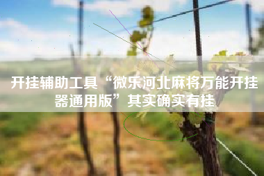 开挂辅助工具“微乐河北麻将万能开挂器通用版”其实确实有挂