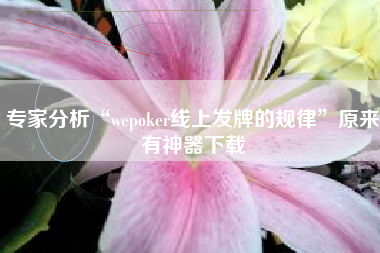 专家分析“wepoker线上发牌的规律”原来有神器下载