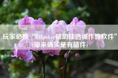 玩家必搜“HHpoker辅助挂透视作弊软件”(原来确实是有插件)