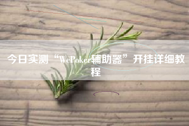 今日实测“WePoker辅助器”开挂详细教程 今日实测“WePoker辅助器”开挂详细教程