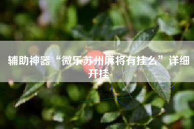 辅助神器“微乐苏州麻将有挂么”详细开挂