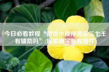 今日必看教程“微信小程序微乐二七王有辅助吗	”(原来确实是有插件)