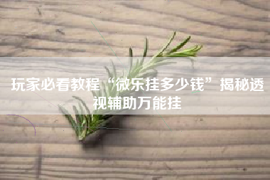 玩家必看教程“微乐挂多少钱”揭秘透视辅助万能挂