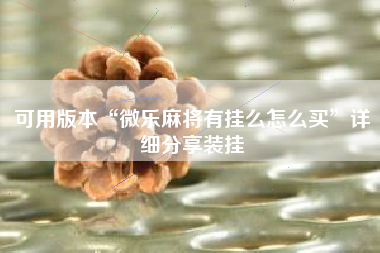 可用版本“微乐麻将有挂么怎么买	”详细分享装挂