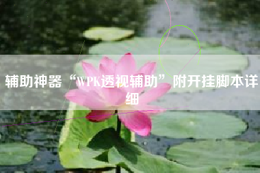 辅助神器“WPK透视辅助”附开挂脚本详细