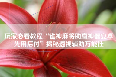 玩家必看教程“雀神麻将助赢神器安卓先用后付”揭秘透视辅助万能挂