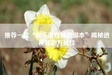 推荐一款“微乐游戏辅助脚本”揭秘透视辅助万能挂