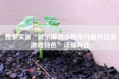 独家实测“微乐麻将小程序万能开挂器游戏特色	”详细开挂