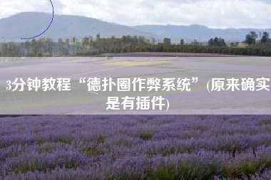 3分钟教程“德扑圈作弊系统”(原来确实是有插件)