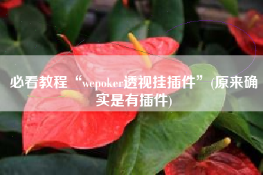 必看教程“wepoker透视挂插件”(原来确实是有插件)