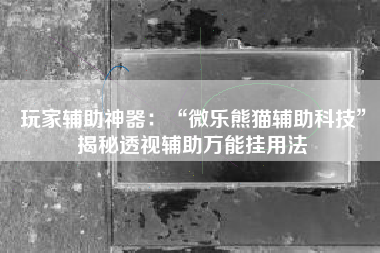 玩家辅助神器：“微乐熊猫辅助科技”揭秘透视辅助万能挂用法