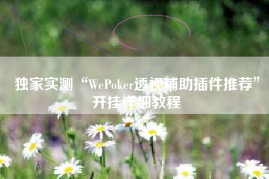 独家实测“WePoker透视辅助插件推荐”开挂详细教程