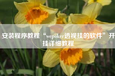 安装程序教程“wepoker透视挂的软件”开挂详细教程