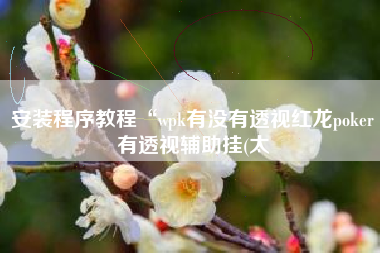 安装程序教程“wpk有没有透视红龙poker有透视辅助挂(太