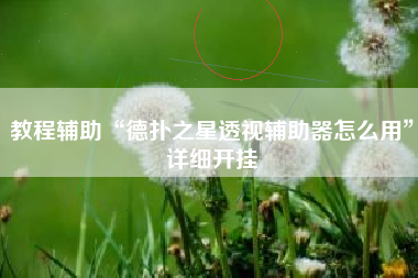 教程辅助“德扑之星透视辅助器怎么用”详细开挂
